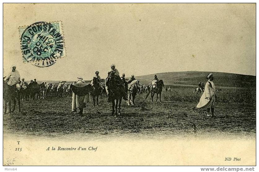 CONSTANTINE .  ALA RENCONTRE D'UN CHEF .