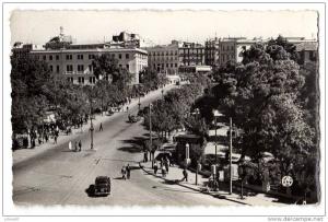 CPA   PHOTO    ALGERIE     CONSTANTINE        L AVENUE LIAGRE ET LES SQUARES  1956