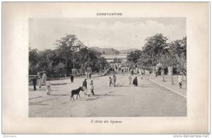 Province de Constantine grand format 16/25 environ Constantine l allée des squares