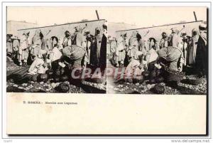 Vues stereoscopiques Algerie Biskra CPA Marche aux legumes