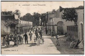 ALGERIE    LAGHOUAT    avenue margueritte