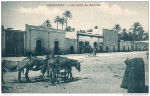 LAGHOUAT  Un coin de marché avec anes