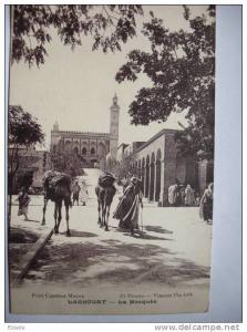 Laghouat  La Mosquée animée