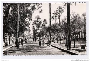 (L-Etr-59) laghouat (Sud Algérien). place des oliviers et l'Eglise.