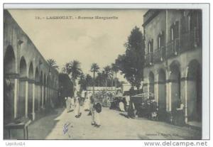 K 566 /  CPA   ALGERIE - LAGHOUAT    AVENUE MARGUERITE