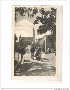 LAGHOUAT_La grande  Mosquée