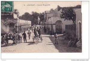 ALGERIE , LAGHOUAT , AVENUE MARGUERITTE , ANIMATION