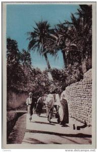 300, LAGHOUAT, Rue de la Grande Séguia