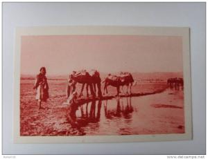 LAGHOUAT - L'OUED M'ZI