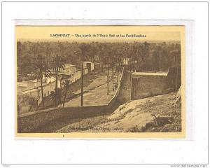 LAGHOUAT_Une partie de l'Oasis sud et les fortifications