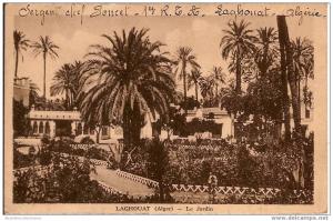 ALGERIE  LAGHOUAT le jardin  - dos écrit