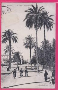 ALGERIE  670   LAGHOUAT  L'Avenue Marguerite