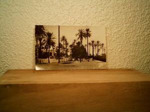 CP SUD ALGERIEN LAGHOUAT LA PREFECTURE