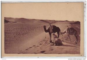 LAGHOUAT, Priére au Désert