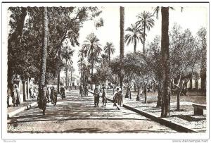 CPSM Laghouat . Place des Oliviers et l'Eglise