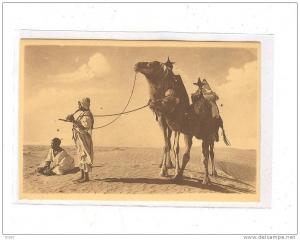 LAGHOUAT_La  musique du désert