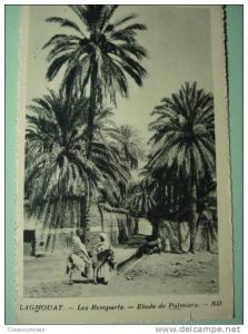 8838    ALGERIE  ARGELIA    LAGHOUAT LES REMPARTS  AÑOS / YEARS / ANNI  1920