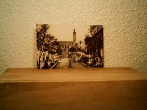 CP SUD ALGERIEN LAGHOUAT LA MOSQUEE