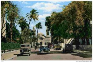 CPSM Laghouat Avenue marguerite