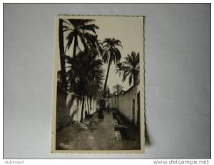 Laghouat. La grande Séguia .c.p.photo 14x9.
