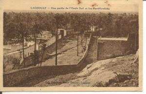 CPA  LAGHOUAT - une partie de l' oasis sud et les fortifications