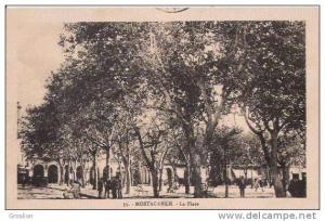 MOSTAGANEM 35 LA PLACE (PETITE ANIMATION)