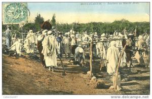 ALGERIE - MOSTAGANEM - BOUCHERIE au MARCHE ARABE - Edition ND - VOYAGEE 1907