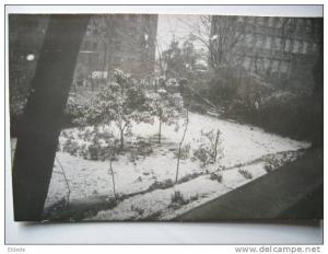 Mostaganem Scene de neige 1 fevrier 1954 dos non carte postale carte photo