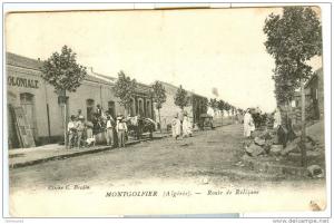 ROUTE   DE   RELIZANE