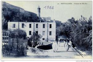 ALGERIE  - MOSTAGANEM   -  Avenue des Moulins