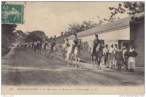 Algérie - Mostaganem (arabe???????) - La Remonte - Retour de la Promenade