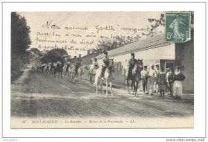 87 -  Mostaganem  -   La Remonte  -  Retour de promenade