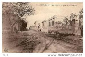 CPA Mostaganem - Les villas sur la route de la Salamandre