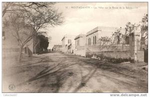 ALGERIE - MOSTAGANEM - LES VILLAS de la ROUTE de SALAMANDRE - Edition ANCRE 56