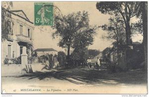 CPA Mostaganem Algérie La Pépinière