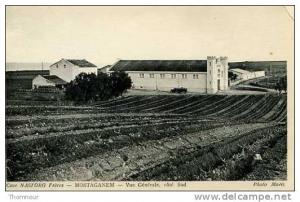 MOSTAGANEM  Cave NASTORG Frères - Vue Générale, coté Sud - ( traces petites pliures angles haut )