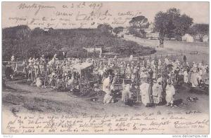 Mostaganem.- (Algérie) Le Marché Arabe  -  (belle animation  oblitération de 1903)