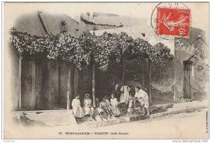 MOSTAGANEM  TIGDITT CAFE MAURE