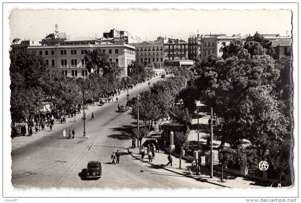 CPA   PHOTO    ALGERIE     CONSTANTINE        L AVENUE LIAGRE ET LES SQUARES  1956