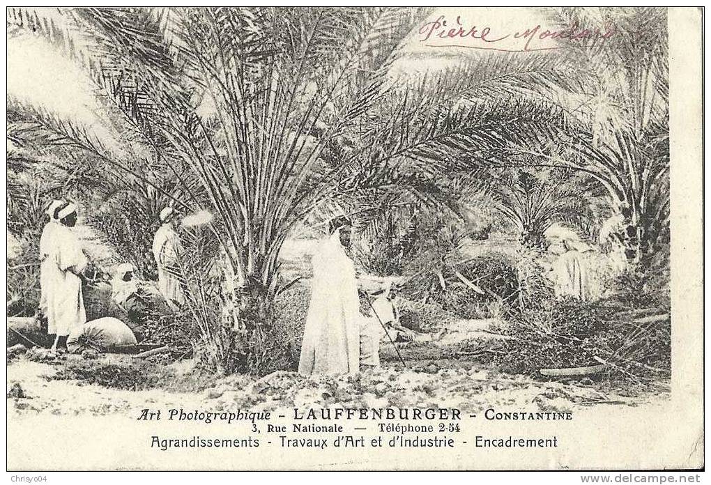 *  ALGERIE CONSTANTINE ART PHOTOGRAPHIQUE LAUFFENBURGER ANIMEE