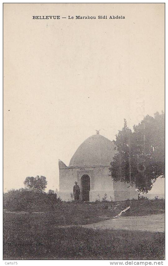 Algérie -  Constantine - Bellevue - Marabou Sidi Abdela