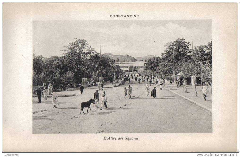 Province de Constantine grand format 16/25 environ Constantine l allée des squares