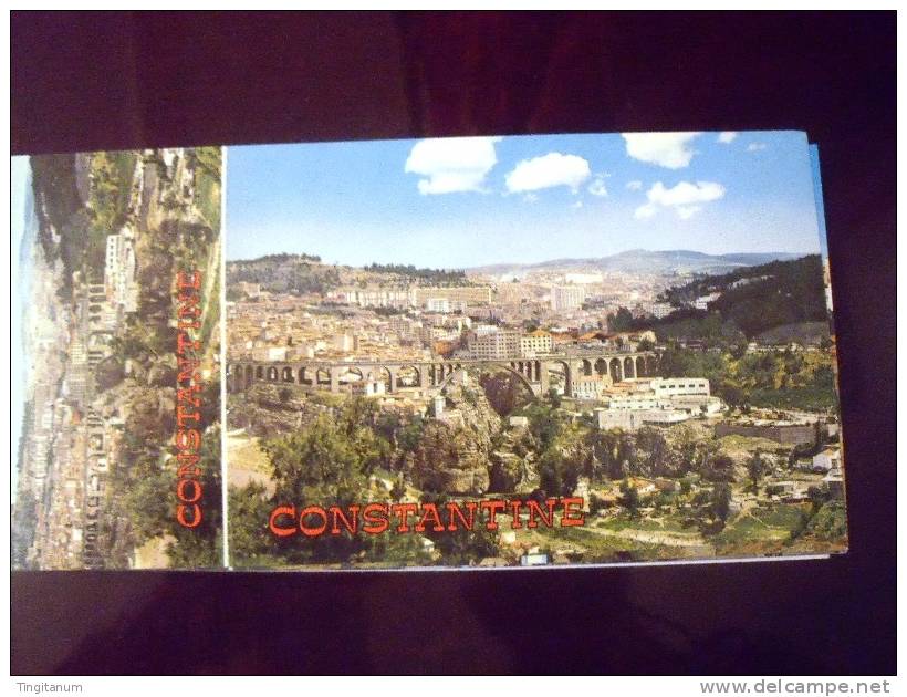 CONSTANTINE-CARNE T  DE 10 CP DE CONSTANTINE