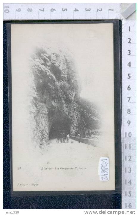 V08642 COSTANTINOPOLI CONSTANTINE LES GORGES DE PALESTRO CARROZZE