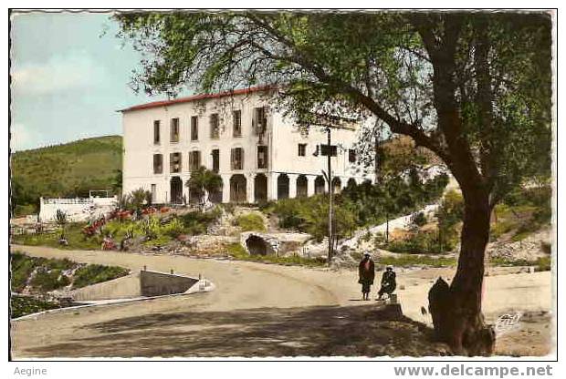ALGERIE - ref no 32- environs de guelma-hammam meskoutine -l hopital thermal- dept constantine   - bon etat