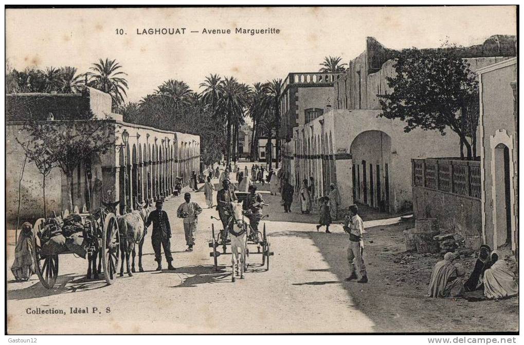ALGERIE    LAGHOUAT    avenue margueritte
