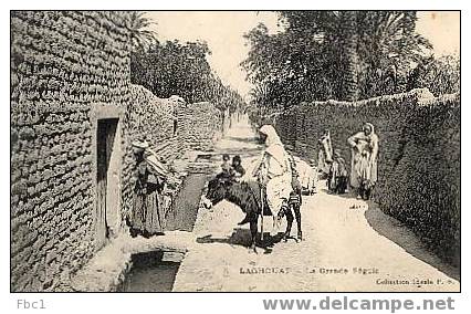 CPA Laghouat - La Grande Séguia (Editeur PS N°6)