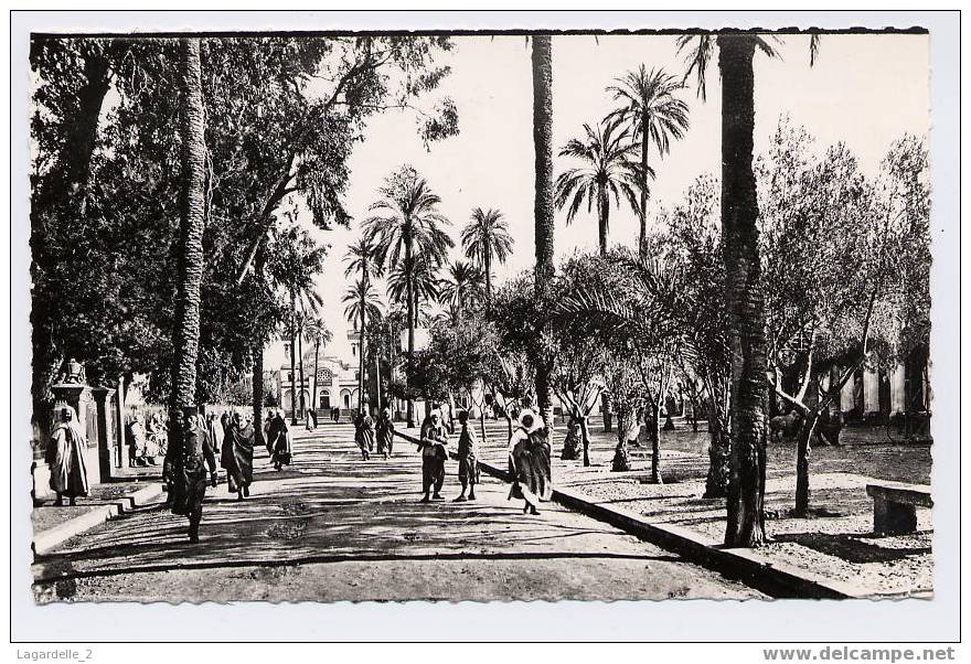 (L-Etr-59) laghouat (Sud Algérien). place des oliviers et l'Eglise.