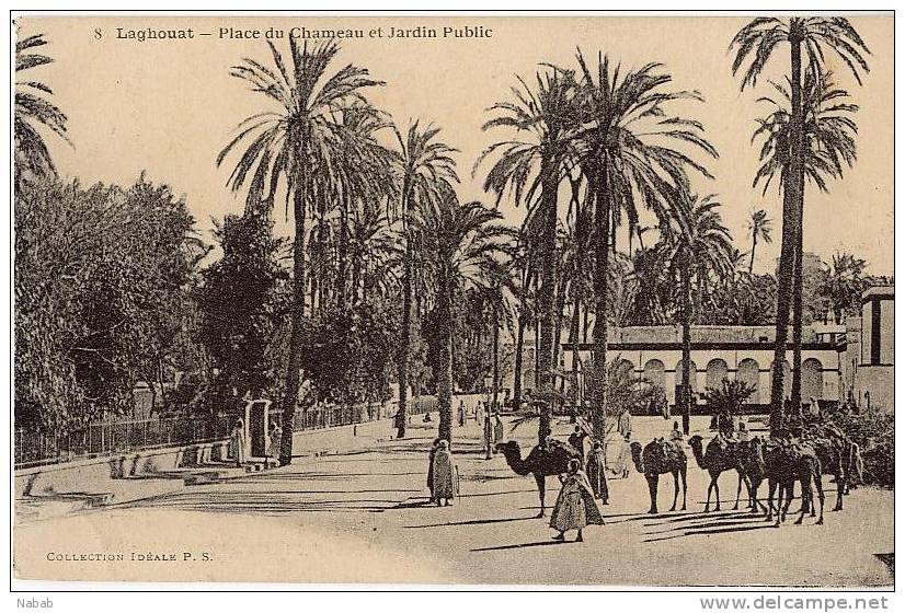 NK-DV 054-Algérie-Laghouat-Sud Algérien-Place du Chameau et Jardin Public-P.S
