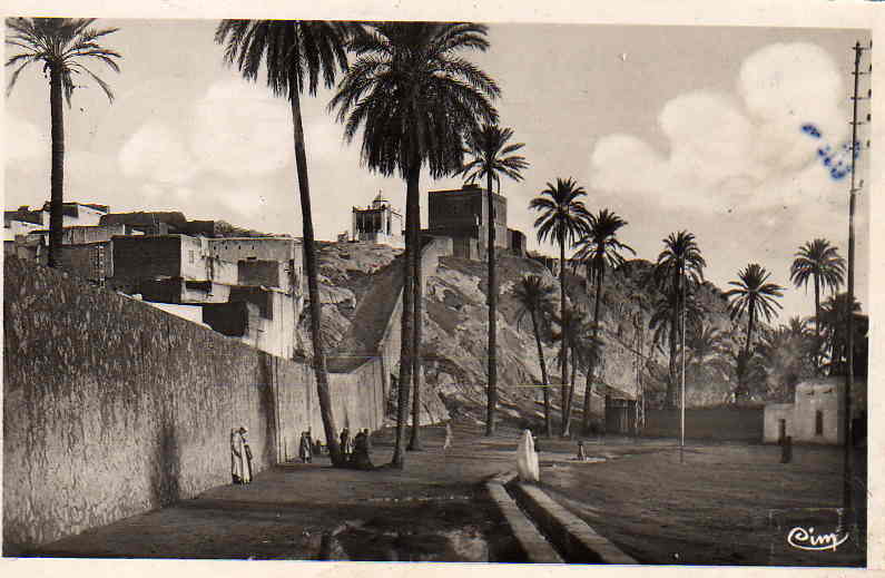 AFRIQUE. AMLGERIE. AUTRES VILLES. LAGHOUAT.Marabout de SIDI-ABDEL-KADER